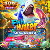 Ocean Master Commercial Arcade Video Games: Permainan Video Arcade Komersial yang Andal & Skalabel, Kerjasama Disambut