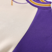 Sweat-shirt à col rond personnalisé Omega Opposite Sleeve Crest Chenille pour les fraternités, idéal pour l'école et l'université, vente en gros, OEM, sur mesure, en vrac