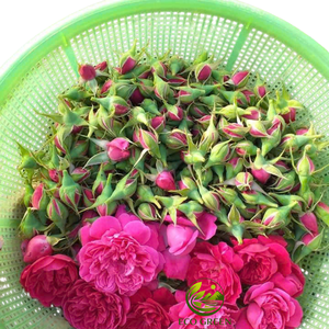 Capullos de rosas rojas secas para té y decoración, color vibrante, aptos para pasteles, bebidas y usos creativos en la cocina. - Product Image 3