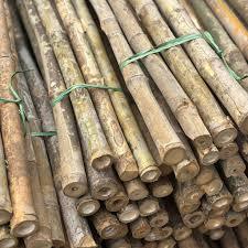 Exportador de Varas de Bambú Resistentes y Duraderas de Vietnam – Material Natural Ideal para Aplicaciones Industriales - Product Image 4