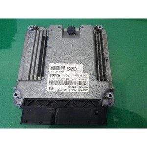Unidad de Control del Motor Carnival UP/GQ 2001-2006 Usada ORIGINAL 391002F060 - Product Image 1