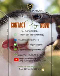 Bulk SUGARCANE STALK CHEW <b>STICKS</b> | Natural Small Pet Chews - Product Image 6