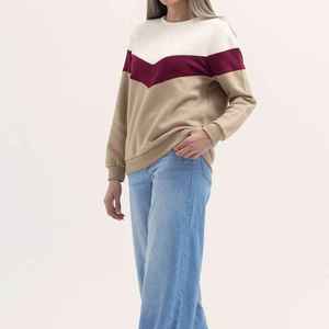 เสื้อสเวตเชิ้ตผู้หญิงสำหรับฤดูหนาว ผ้าฝ้าย 100% สวมใส่สบาย มีโลโก้สั่งทำด้านหน้า แขนยาว คอกลม บุขนด้านใน แห้งเร็ว และเป็นมิตรกับสิ่งแวดล้อม - Product Image 3