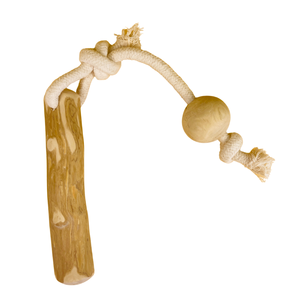 Jouet pour chien écologique en bois de café artisanal avec corde en coton - Product Image 2