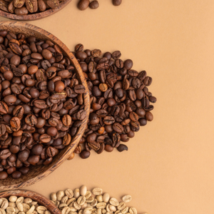 Café Arabica Indien de haute qualité, torréfaction légère à moyenne, spécialité en grains entiers, provenant des plantations de Coorg, pour export en vrac. - Product Image 6