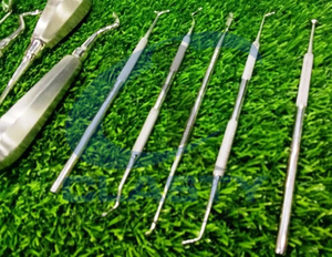 Nuevo Juego de Fórceps Manuales de Acero Inoxidable para Extracción Dental Veterinaria, Certificado CE, Clase I CI-ZS-715 CLASTY INSTRUMENTS - Product Image 4