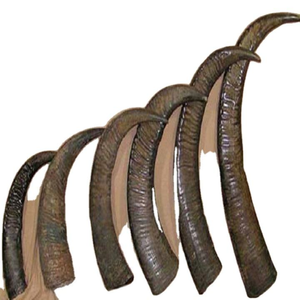 Pointe de corne de buffle naturelle de haute qualité, taille personnalisée, polie, couleur agate noire, artisanat religieux décoratif pour les fêtes - Product Image 1