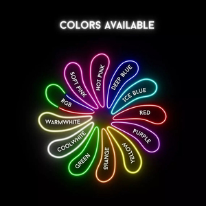 Migliora l'aspetto del negozio: <span class=keywords><strong>Numeri</strong></span> luminosi a LED da 4 piedi, Lettere luminose da 4 piedi, Materiale per insegne al neon a batteria da 4 piedi - Product Image 6