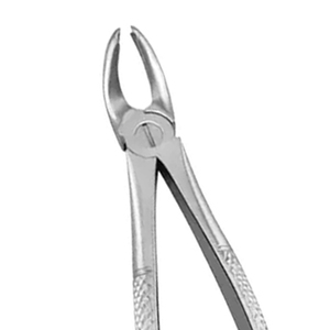 ARISTON INTERNATIONAL - Pinzas Dentales Pediátricas Manuales de Alta Calidad para Extracción con Excelente Fuente de Alimentación, en Venta - Product Image 6