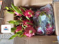 Vietnamese witte drakenvrucht – Schoon, vers, perfect voor Indiase supermarkten