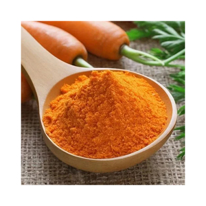 Poudre de carotte en gros, qualité alimentaire, pour soupes, sauces et mélanges instantanés, à prix compétitif - Product Image 3