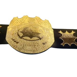 Ceinture de championnat de lutte plaquée or, design haut de gamme, personnalisable, ceintures sportives de collection de haute qualité - Product Image 5