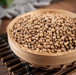 Meilleures graines de coriandre de qualité supérieure en gros, prêtes à être expédiées, qualité alimentaire, pour l'exportation - Product Image 2