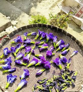 ชาสมุนไพรรสบลูบลูเบิร์ตพีฟลาวเวอร์ 100% ธรรมชาติ ผลิตจากเวียดนาม คุณภาพส่งออก ช่วยลดน้ำหนักและมีประโยชน์ต่อสุขภาพ - Product Image 3