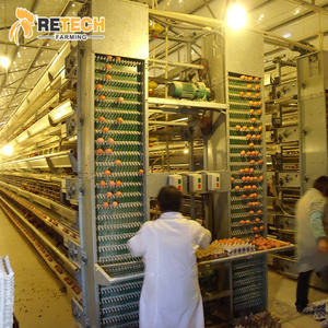 Équipement de <span class=keywords><strong>Cage</strong></span> Automatique pour Poules Pondeuses Retech Farming Type H avec Système de Collecte d'Œufs - Product Image 4