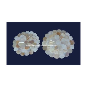 Meilleur Prix Indien Grossiste Sea Shell Mirrors Bleu Nacre Gemstone Giveaways Prêt à Expédier - Product Image 4