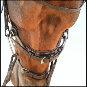 Handcrafted Leather English Style Horse Bridle with Adjustable Straps 2x3x2m Size for Riding Factory Made Model SULEMAN 0016 - Product Image 5
