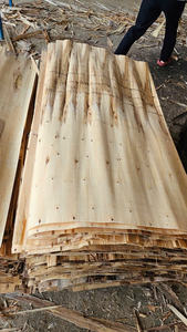 Láminas de chapa de madera blanca de Vietnam para la producción de paneles de muebles y núcleos de puertas - Product Image 3