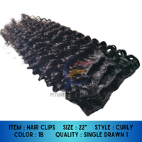 Nuevo Clip para el Cabello 2025, Juego de 4 Piezas, 100gr, Cabello Lacio Indonesio, Extensiones de Cabello Humano Virgen Remy 100%, Longitud de 8"-32"