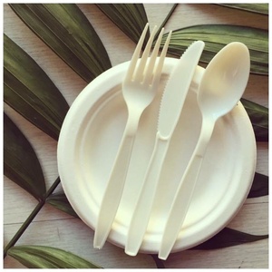 Cuillère en papier jetable compostable pour la restauration rapide et les services de traiteur, cuillère en papier de 155 mm pour les repas quotidiens, les déjeuners scolaires et les voyages - Product Image 5