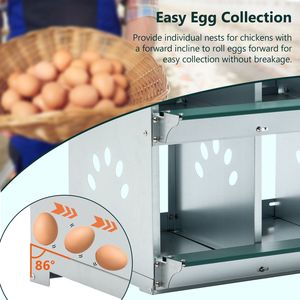 Cajas de Metal con 4 Compartimentos para Gallinas, Jaula de Pared para la Producción de Huevos, para Diferentes Razas - Product Image 3
