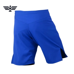 Pantalones Cortos de Compresión MMA Azul Rey Personalizados, Cintura Elástica, 100% Poliéster, Bolsillo Protector para Copa, para Rendimiento Atlético Juvenil y Adulto - Product Image 2