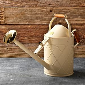 Arrosoir de jardin en métal de style vintage, grande capacité, corps en fer durable, pour arroser la pelouse, les pots de fleurs et une utilisation décorative. - Product Image 4