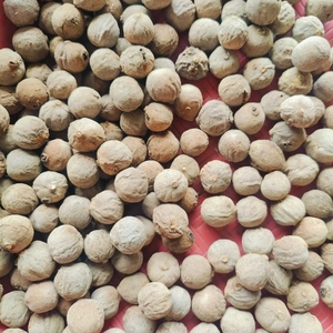 Baheda Fruta de Bibhitaki Entera, Cruda, Natural y Seca al Sol, Terminalia Bellirica, Sabut Beleric, Myrobalan, Envasada al Vacío de Rajasthan - Product Image 4