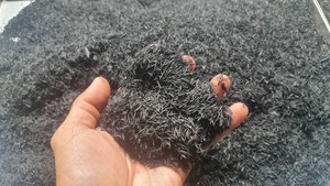 ขี้เถ้าแกลบข้าวเกรดเชื้อเพลิงที่มีปริมาณคาร์บอนมากกว่า 35% – วัสดุชีวมวลคาร์บอนเชื้อเพลิงที่มีพลังงานสูงสำหรับการนำกลับมาใช้ใหม่ในอุตสาหกรรม - Product Image 3