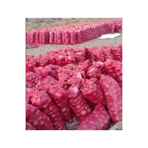 หัวหอมแดงและหัวหอมเหลืองสดใหม่ ขนาด 100 มม. คุณภาพเยี่ยม ราคาสุดคุ้ม - Product Image 2