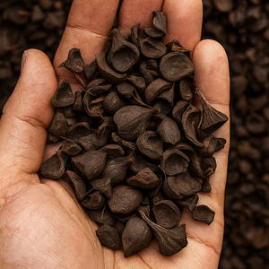 Combustible de Cáscara de Palmiste de Primera Calidad para Hornos de Cemento - Product Image 1