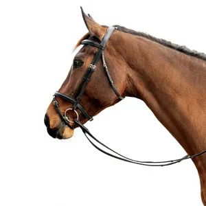 Brida Snaffle con cabezal anatómico y narquiler de salto, de cuero acolchado suave, estilo inglés, hecha a mano para caballos - Product Image 4