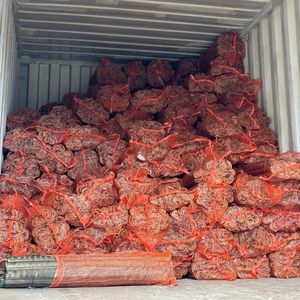 Estacas de Bambú Resistentes y Sostenibles para Soporte de Plantas, Venta al Por Mayor - Product Image 5