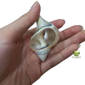 Anillos para Servilletas de Concha Natural Hechos a Mano, Decoración de Mesa con Estilo Costero, Accesorios Ecológicos para Servilletas de Boda, Compra al por Mayor - Product Image 2