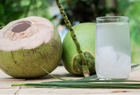 Cocos jóvenes frescos naturales de sabor dulce con pajita/botón pulsador/Tirador de anillo del proveedor de Vietnam