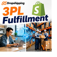 Service de distribution 3PL depuis la Chine pour les vendeurs de dropshipping Shopify avec livraison express (délai de transit de 3 à 10 jours)