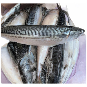 Pescado Macarela del Pacífico Orgánico Congelado con Conservación del Agua del Cuerpo del Pez, Empaque a Granel - Product Image 2