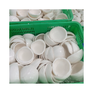 Frozen IQF <b>Coconut</b> Meat White Pieces Shred Bulk Vacuum Pack with 24 Months Shelf Life for Dessert Beverage and Food Processing - Product Image 5