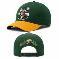 Gorra de Béisbol Personalizada con Bordado 3D, Parches Delanteros y Traseros, Ajustable con Cierre a Presión, para Deportes al Aire Libre, Venta al Por Mayor, Personalizable