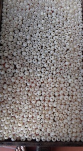 Découvrez un goût authentique avec le longane séché naturellement, une collation fruitée intemporelle qui ajoute de la saveur aux boissons, aux gâteaux et aux bonbons. - Product Image 2