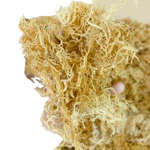 Grossiste et revendeur vietnamien de mousse de mer séchée aromatisée de qualité supérieure en sachet, 2024 - Product Image 6