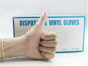 <b>Powder</b> Free Medium and Large Clear Exam PVC Disposable Vinyl Gloves 24CM Smooth <b>Texture</b> General Purpose - Product Image 4