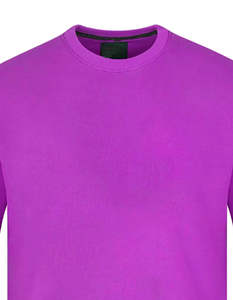 Sweat-shirt léger en coton, vêtements de sport décontractés, pull-over pour hommes, vêtements d'entraînement en salle de sport, sweat-shirt imprimé personnalisé, pull-over décontracté - Product Image 2