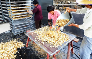 220V chauffage électrique séchoir four automatique PLC pompe moteur ferme utilisation équipement de traitement des aliments pour ail poivre-déshumidificateur - Product Image 2