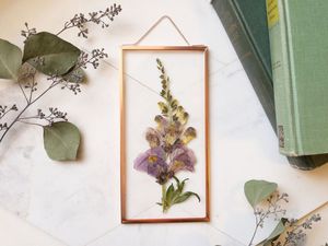 Marco colgante vintage de latón y vidrio de doble cara para especímenes botánicos, decoración de pared para el hogar. - Product Image 2