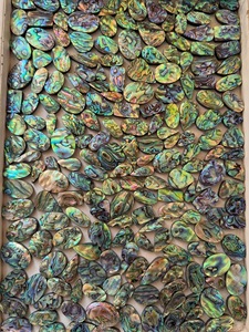 Coquille d'ormeau naturelle, cabochon arc-en-ciel, coquille multicolore polie, pierres précieuses en vrac, formes et tailles variées, vente en gros pour la fabrication de bijoux - Product Image 3