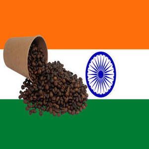Grains de café Arabica indiens torréfiés de qualité supérieure pour les marques de café en marque blanche, emballage personnalisé, vente en gros internationale - Product Image 1