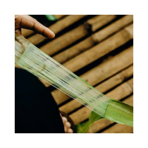 Vietnam Sustainable Pineapple <b>Fiber</b> For Fashion Apparel Accessories And Natural Hair Extensions Industry - Product Image 1