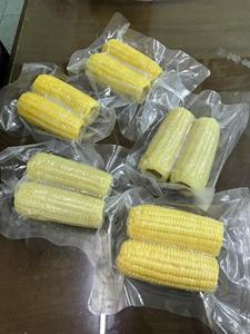 ข้าวโพดต้มแช่แข็งคุณภาพสูง หวานฉ่ำ กรอบอร่อย สีเหลืองทอง - Product Image 1