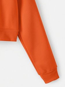 Sudaderas con Capucha Cortas de Algodón con Logotipo Personalizado al por Mayor para Mujer, Sudaderas Cortas de Gran Tamaño para Mujer - Product Image 4